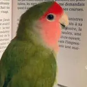 yacchiの画像