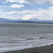 mameの画像