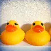 しーばの画像