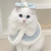 sの画像