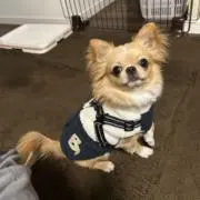 みおみらの画像