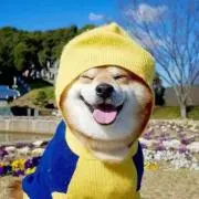 ももの画像