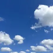 UMIの画像