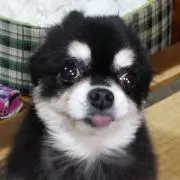 なっちゃん