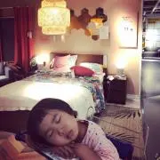 t.h.f.の画像