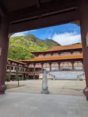 ゆりさーの画像