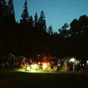 サミーの画像