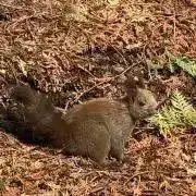 ゆうの画像