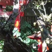 6Senseの画像