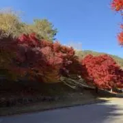 HIROの画像