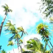 まみきちの画像