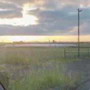 kameの画像