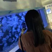 白飯の画像
