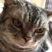 かっちゃんの画像