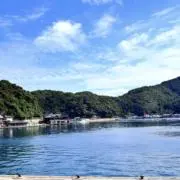 Maiの画像