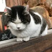 キャナッペ