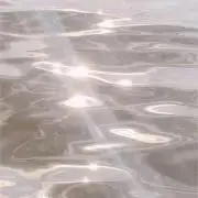 NYN'sの画像