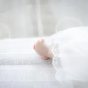 konoの画像
