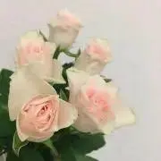 ♡