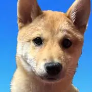 茶々。の画像