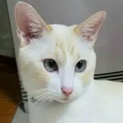 mochiemiの画像