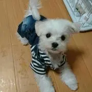 まるちゃん