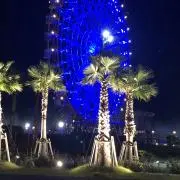 チェリーの画像