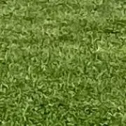 ドコモダケさん専用】TTTMSW × DAIRIKU - メルカリ