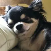 Kすけの画像