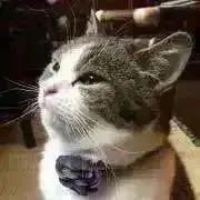 メルカーリンの画像