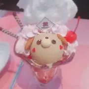 みぃの画像