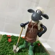 Haruの画像