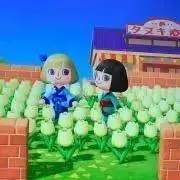 コロコロの画像