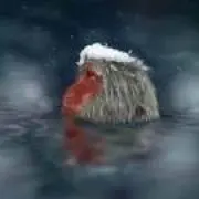 温泉小太郎