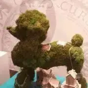そらの画像