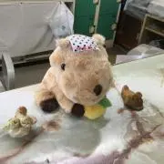 HIMAWARIの画像