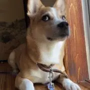 ToM