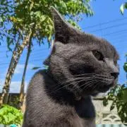 かっちゃんの画像