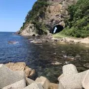 海産