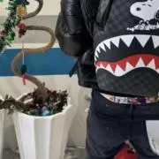 renの画像