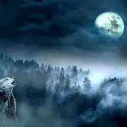 ユキヒョウ