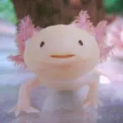 縷縷夢 ※プロフご確認お願いします