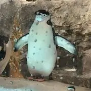 M★の画像