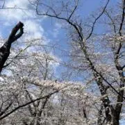 てりぞう