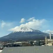 ぐふの画像