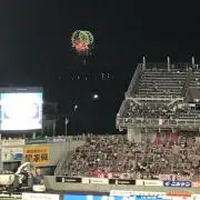 hiyopapa