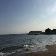 せいの画像