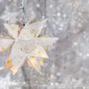 ミルミルの画像