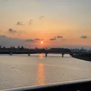 きなこの画像