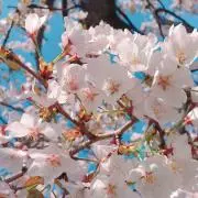 しずくの画像